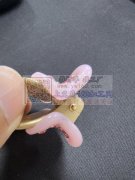 点钻外发加工60万片<br />
<b