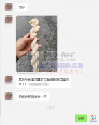 寻找外地有机器打这种两股麻花辫的加工厂