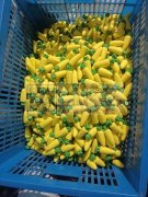 各位老总，需要，PVC软件，如公仔，钥匙