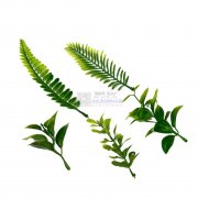 染色假花，塑料花
