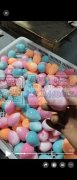 有双色注塑机的联系一下我。