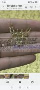 大幅面激光摄像定位:承接各种毛料，箱包，