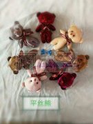 承接各种毛绒玩具