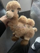 我是做毛绒玩具，娃衣BJD&nbsp;&
