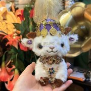 求购图上这个产品，需要一万个，寻找这个产