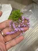 有现货的联系，我需要7000个