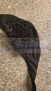 寻能做这款帽子的加工厂 如图，数量6000个