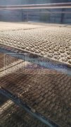 本植绒厂专业承接各种：泡沫、发饰、耳饰、
