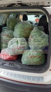 本植绒厂专业承接各种：泡沫、发饰、耳饰、