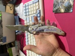 样品如图，寻三角洲合金刀模厂家