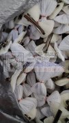 承接包装，挂圈，弯针，打胶枪，剪线头，穿