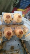 本厂承接各种塑胶,abs,pp,pvs,