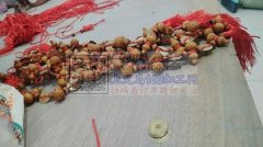 专业承接挂圈弯针，打胶枪，包装等各种手工
