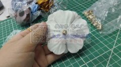 大量求购图上这个花，寻这个样子花艺厂家