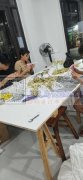 本厂专业承接圣诞饰品代加工订单，当前订单