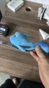 大型激光切割厂承接各种毛绒玩具平面下料，