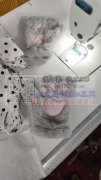 本工厂接单，宠物衣，四大片裤子，卫衣，手