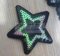 找亮片绣绣花厂，能做三个色四个色亮片绣的