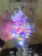 本人承接窗帘灯各种电子产品手工活寻找长期