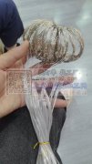 本人承接窗帘灯各种电子产品手工活寻找长期