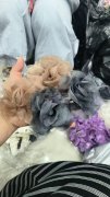 需要求购这种半成品花 ，咖色2万  灰色6万