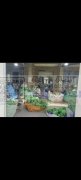专业毛绒玩具加工厂，有平车工50余人，手