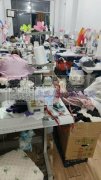 专业毛绒玩具加工厂，有平车工50余人，手