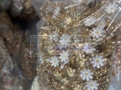 外发如图耳针化油，要求义乌化油厂