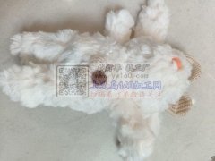 大量毛绒玩具外发，寻找河北白沟那边的工厂