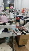 专业接缝纫加工。有缝纫工50余人
