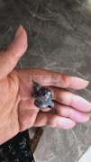 寻找翻环保合金加工厂【老板在线寻找加工厂合作】