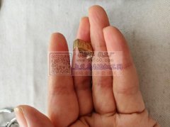 采购图上这个配件，谁家有这个夹头？