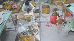 饰品加工厂，生产耳饰项链胸针等合金饰品，