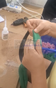 如图发箍需要加工，找专业做这种发箍的加工厂，