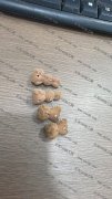 求购这个立体小熊，树脂，亚克力材质都可以