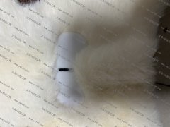 帽子鼻子外发加工