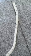 寻做海绵的工厂 如图