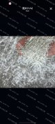 大量收含银合金饰品边角料，灰渣