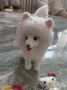 上饶专业手工活加工厂，集中生产加工
