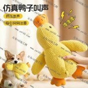 宠物玩具，1W个能做请联系我