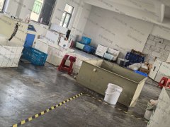 本厂专业承接捏捏乐代加工，6大手感全部可以做大小订单都接