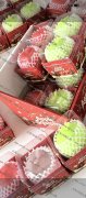 本厂专业承接捏捏乐代加工，6大手感全部可以做大小订单都接