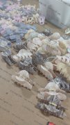 承接亚克力板材发夹加工，或者成品都可做