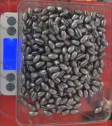 图上吊坠需要做【外地本地均可】